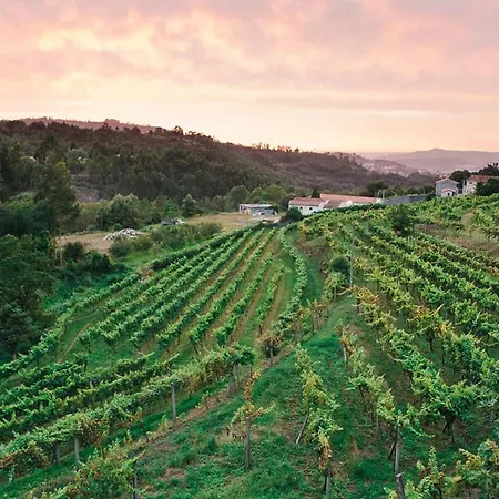 Venkovský dům Quinta Da Longra Vizela