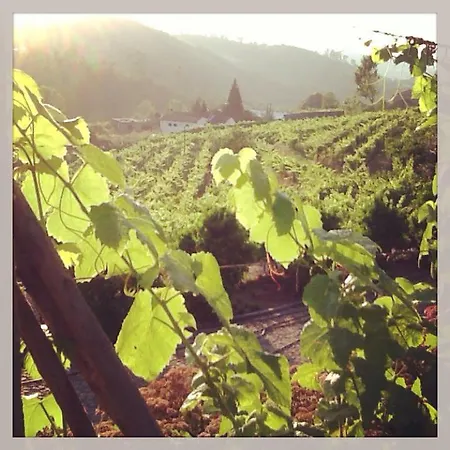 Quinta Da Longra Vizela