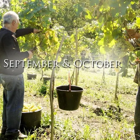 Quinta Da Longra Vizela