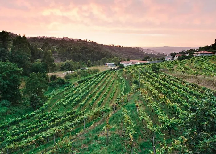 乡村民宿 Quinta Da Longra 维泽拉