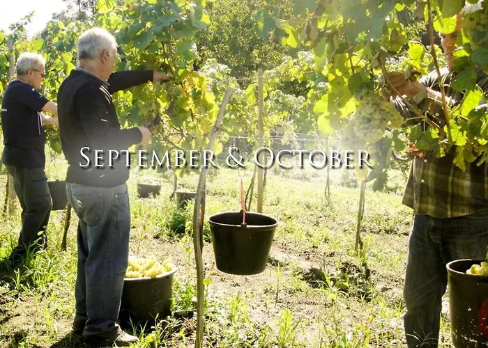 Quinta Da Longra Vizela